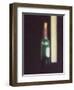 Seven Attempts against Tiredness, 4 of 8, 1998-99-Aris Kalaizis-Framed Giclee Print