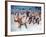 Seven Brides For Seven Brothers, 1954-null-Framed Photo