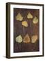 Seven Brown Autumn or Winter Leaves of Ivy or Hedera Helix Lying on Rusty Metal Sheet-Den Reader-Framed Photographic Print