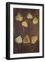 Seven Brown Autumn or Winter Leaves of Ivy or Hedera Helix Lying on Rusty Metal Sheet-Den Reader-Framed Photographic Print