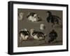 Seven Chicks-Melchior d'Hondecoeter-Framed Art Print