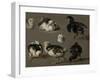 Seven Chicks-Melchior d'Hondecoeter-Framed Art Print