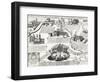 Seven Churches of Rome, with Portrait of Alexander VII (Pope 1655-1667), Italy, 17th Century-null-Framed Giclee Print