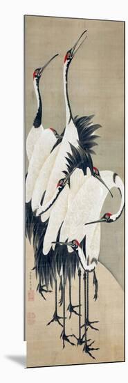 Seven Cranes-Jakuchu Ito-Mounted Giclee Print