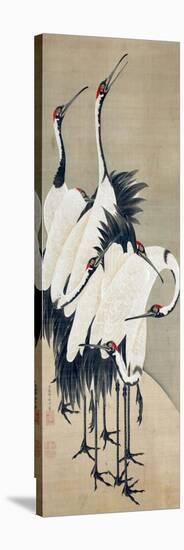 Seven Cranes-Jakuchu Ito-Stretched Canvas