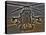 Seven Exposure HDR Image of an AH-64D Apache Helicopter as it Sits on its Pad-Stocktrek Images-Stretched Canvas
