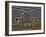 Seven Exposure HDR Image of an AH-64D Apache Helicopter as it Sits on its Pad-Stocktrek Images-Framed Photographic Print