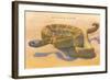 Seven-Foot Rattler, Ole Southwest-null-Framed Art Print