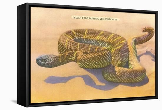 Seven-Foot Rattler, Ole Southwest-null-Framed Stretched Canvas