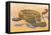 Seven-Foot Rattler, Ole Southwest-null-Framed Stretched Canvas