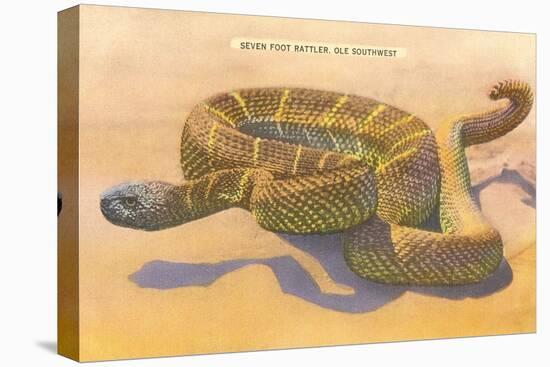Seven-Foot Rattler, Ole Southwest-null-Stretched Canvas