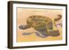 Seven-Foot Rattler, Ole Southwest-null-Framed Art Print