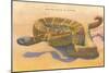 Seven-Foot Rattler, Ole Southwest-null-Mounted Art Print