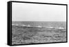 Seven German Submarines-null-Framed Stretched Canvas