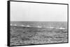 Seven German Submarines-null-Framed Stretched Canvas