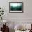 Seven Gill Shark, Cape Town, South Africa, Africa-Lisa Collins-Framed Photographic Print displayed on a wall