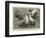 Seven Hundred Miles in the Berthon Collapsible Lifeboat-null-Framed Giclee Print