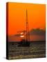 Seven Mile Beach, Grand Cayman. Sailboat on the Carribean at sunset.-Jolly Sienda-Stretched Canvas