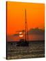 Seven Mile Beach, Grand Cayman. Sailboat on the Carribean at sunset.-Jolly Sienda-Stretched Canvas