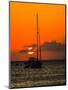 Seven Mile Beach, Grand Cayman. Sailboat on the Carribean at sunset.-Jolly Sienda-Mounted Photographic Print