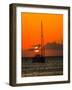 Seven Mile Beach, Grand Cayman. Sailboat on the Carribean at sunset.-Jolly Sienda-Framed Photographic Print