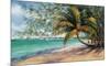 Seven Mile Beach-Lois Brezinski-Mounted Art Print