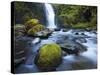 Seven Mile Falls, Eagle Creek, Oregon-Ethan Welty-Stretched Canvas