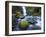 Seven Mile Falls, Eagle Creek, Oregon-Ethan Welty-Framed Photographic Print