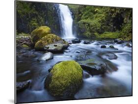 Seven Mile Falls, Eagle Creek, Oregon-Ethan Welty-Mounted Photographic Print