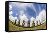 Seven Moai at Ahu Akivi, the First Restored Altar, Rapa Nui National Park-Michael Nolan-Framed Stretched Canvas