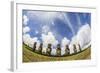 Seven Moai at Ahu Akivi, the First Restored Altar, Rapa Nui National Park-Michael Nolan-Framed Photographic Print