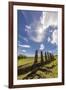 Seven Moai at Ahu Akivi, the First Restored Altar, Rapa Nui National Park-Michael Nolan-Framed Photographic Print