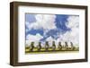 Seven Moai at Ahu Akivi, the First Restored Altar, Rapa Nui National Park-Michael Nolan-Framed Photographic Print