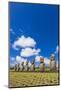 Seven Moai at Ahu Akivi-Michael-Mounted Photographic Print