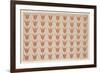 Seven Rows of Tulips, Fraktur Painting, C.1800-20-null-Framed Giclee Print