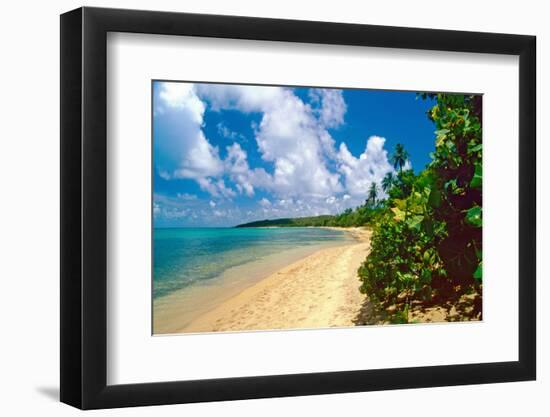 Seven Seas Beach, Fajardo, Puerto Rico-George Oze-Framed Photographic Print