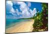 Seven Seas Beach, Fajardo, Puerto Rico-George Oze-Mounted Photographic Print