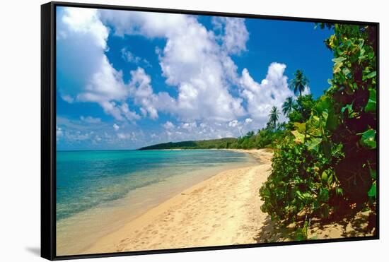 Seven Seas Beach, Fajardo, Puerto Rico-George Oze-Framed Stretched Canvas