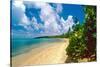 Seven Seas Beach, Fajardo, Puerto Rico-George Oze-Stretched Canvas