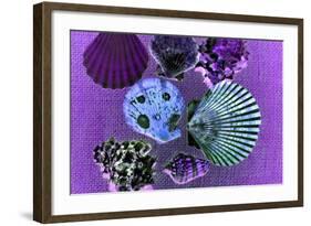 Seven SeaShells-Tom Kelly-Framed Giclee Print