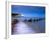 Seven Sisters Cliffs From Cuckmere Haven Beach, South Downs, East Sussex, England, United Kingdom-Alan Copson-Framed Photographic Print