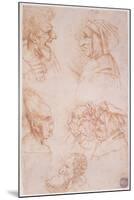 Seven Studies of Grotesque Faces-Leonardo da Vinci-Mounted Giclee Print