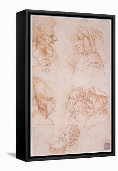 Seven Studies of Grotesque Faces-Leonardo da Vinci-Framed Stretched Canvas