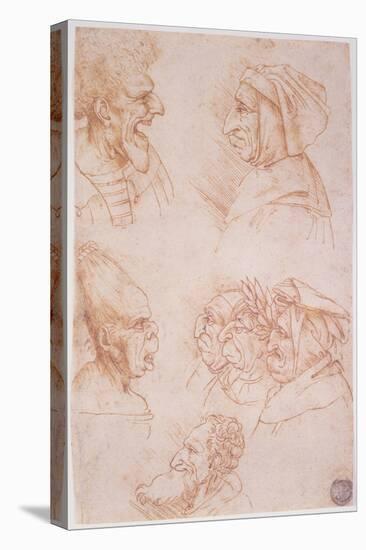 Seven Studies of Grotesque Faces-Leonardo da Vinci-Stretched Canvas