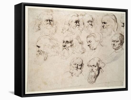 Seven Studies of the Head of an Elderly Bearded Man-Peter Paul Rubens-Framed Stretched Canvas