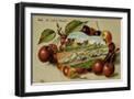 Black Frame