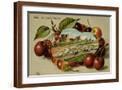 Brown Frame
