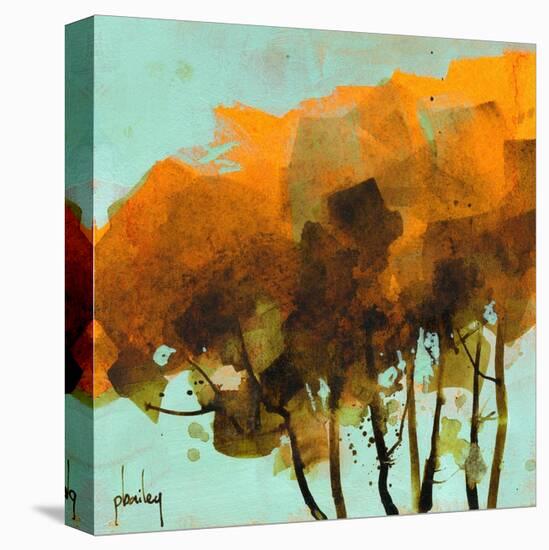 Seven Trees-Paul Bailey-Stretched Canvas
