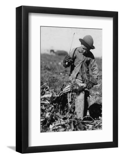 Photo, , large
