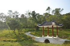 Closeup of Chinese Garden Pavilion-sevenke-Framed Photographic Print